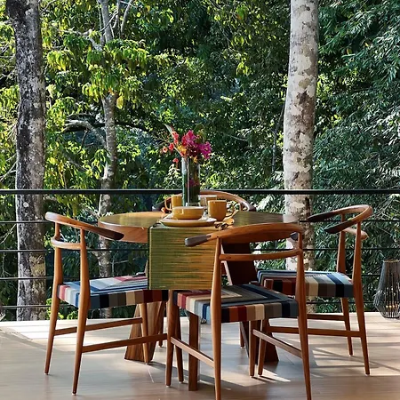 Monkey House Apartment Dominicalito Exterior photo